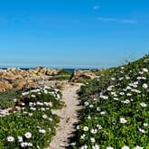 Seeff Walker Bay / Pearly Beach - Xplorio™