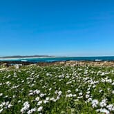 Seeff Walker Bay / Pearly Beach - Xplorio™