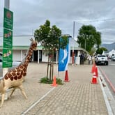 Seeff Walker Bay / Stanford - Xplorio™