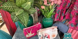 564538435_24286762984335862_2089653468772069272_n_1761496642