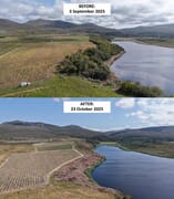 Before and After Invasive Clearing on Lomond Farm