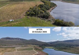 Before and After Invasive Clearing on Lomond Farm