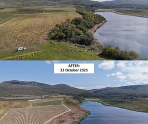 Before and After Invasive Clearing on Lomond Farm