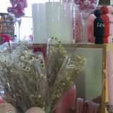 WhatsApp_Image_2025_10_29_at_11.45.34_1761735541