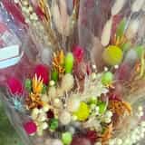 WhatsApp_Image_2025_10_29_at_11.45.34_1__1761735542