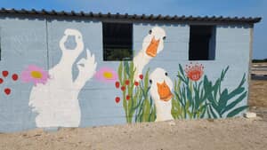 Gansbaai Art Volunteers Making Our Town Beautiful