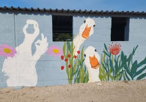 Gansbaai Art Volunteers Making Our Town Beautiful