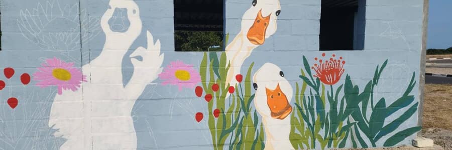 573278217_122210131868283540_4578401047357714873_n_1_1761812378