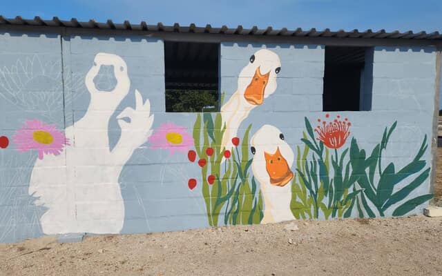 573278217_122210131868283540_4578401047357714873_n_1_1761812378