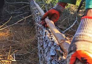 Quality, Precision, and Durability from the Start