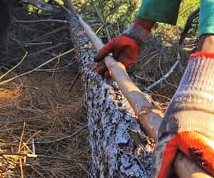 Quality, Precision, and Durability from the Start