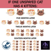 Mini-Cat Steri-Thon Success - 22 October 2025