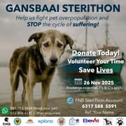 All About Gansbaai Steri-Thon