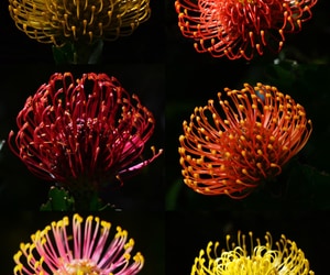 Parting Shots of the Week