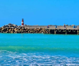 Building Back Better in Rural Towns