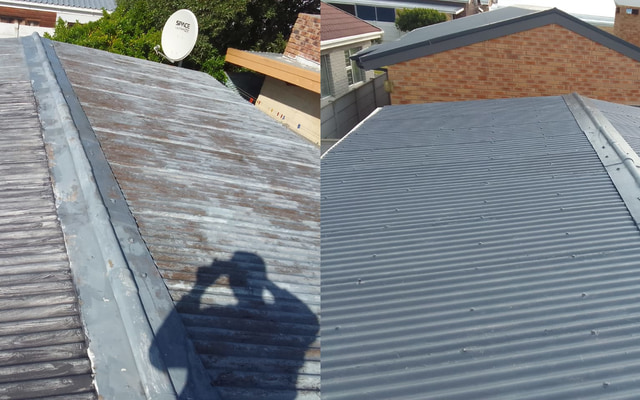 Rubber roof coating