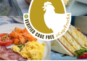 Our Commitment to Freshness and Sustainability