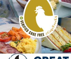 Our Commitment to Freshness and Sustainability