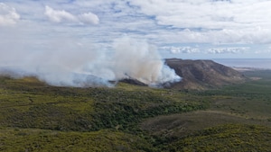 Gansbaai Wildfires: What Happened and How to Help