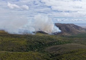 Gansbaai Wildfires: What Happened and How to Help