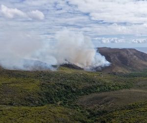 Gansbaai Wildfires: What Happened and How to Help