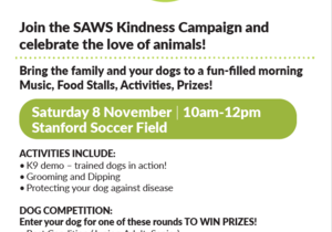 Join the SAWS Kindness Campaign in Stanford!