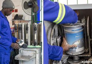 High Demand for Tinted Colours - Please Order in Advance