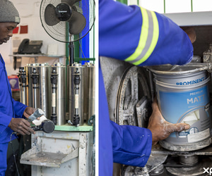 High Demand for Tinted Colours - Please Order in Advance