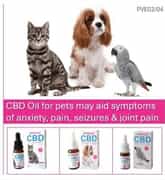 Vitozall CBD Oil for Pets