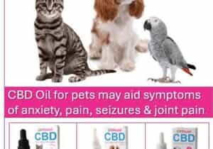 Vitozall CBD Oil for Pets