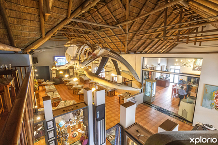 gansbaai_places_to_eat_great_white_house_inside_restaurant_wide_1762766644