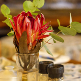 Restaurant - Great White House - Xplorio™ Gansbaai