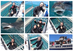 Daily Blog: 11 November 2025 | Shark Cage Diving in South Africa