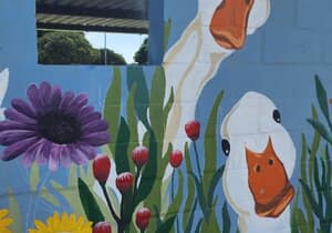 Gawie in die Fynbos Brightens Gansbaai Market