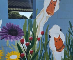 Gawie in die Fynbos Brightens Gansbaai Market