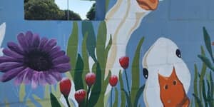 581963066_122212707878283540_1122298111724951212_n_1763448269