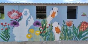 583934610_122212707920283540_3482070957553702739_n_1763448269