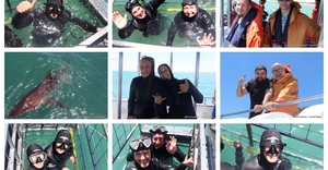 Daily Blog: 17 November 2025 | Shark Cage Diving in South Africa