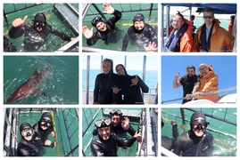 Daily Blog: 17 November 2025 | Shark Cage Diving in South Africa
