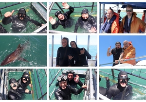 Daily Blog: 17 November 2025 | Shark Cage Diving in South Africa