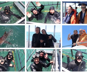 Daily Blog: 17 November 2025 | Shark Cage Diving in South Africa