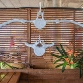 Decor - C Shack Restaurant - Xplorio™ Kleinmond