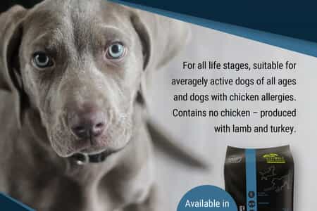 WhatsApp_Image_2025_11_20_at_08.34.13_1763620799