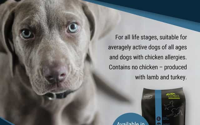 WhatsApp_Image_2025_11_20_at_08.34.13_1763620799