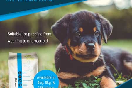 WhatsApp_Image_2025_11_20_at_08.34.13_1_1763620800