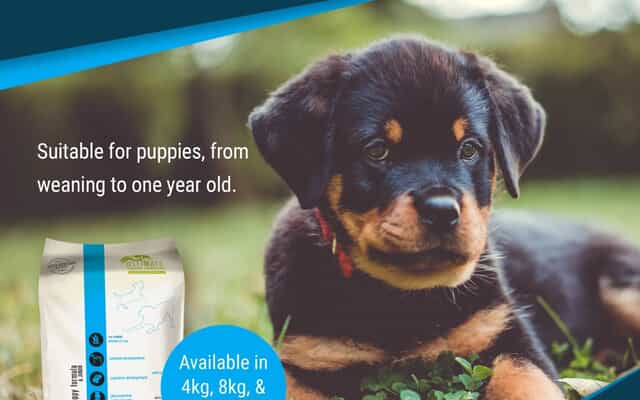 WhatsApp_Image_2025_11_20_at_08.34.13_1_1763620800