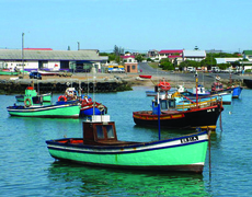 Western Cape Tourism Challenges Survey for Overberg Stakeholders