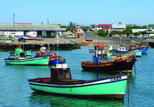 Western Cape Tourism Challenges Survey for Overberg Stakeholders