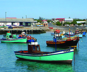 Western Cape Tourism Challenges Survey for Overberg Stakeholders