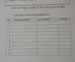You’re Invited! GGV Disability Forum AGM + Win a Whole Lamb!